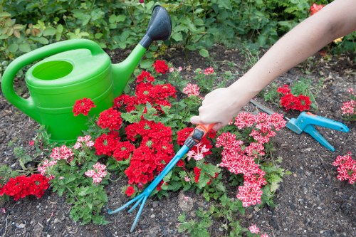 Commercial soft landscaping in Abbeywood for a neat and welcoming outdoor space