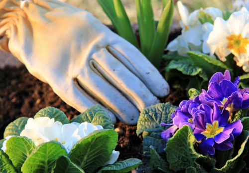 Local transfer station handling garden waste and soil for recovery