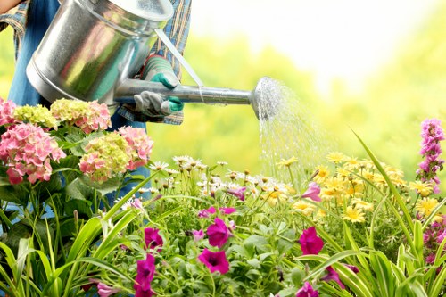 Seasonal planting and hard landscaping in an Abbeywood outdoor space