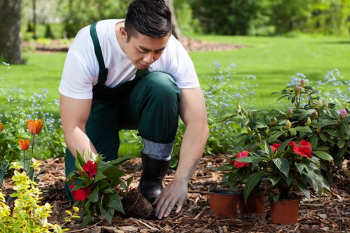Landscaping quotes in Abbeywood for mixed garden waste and larger clearances