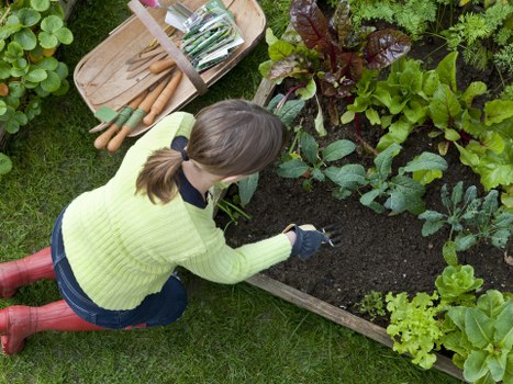 Charity donation of reusable garden materials from landscaping works