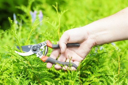 Free quote policy for Abbeywood landscaping services with clear pricing model