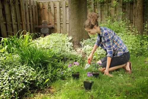 Inclusive Landscaping Abbeywood accessibility statement with visual guidance